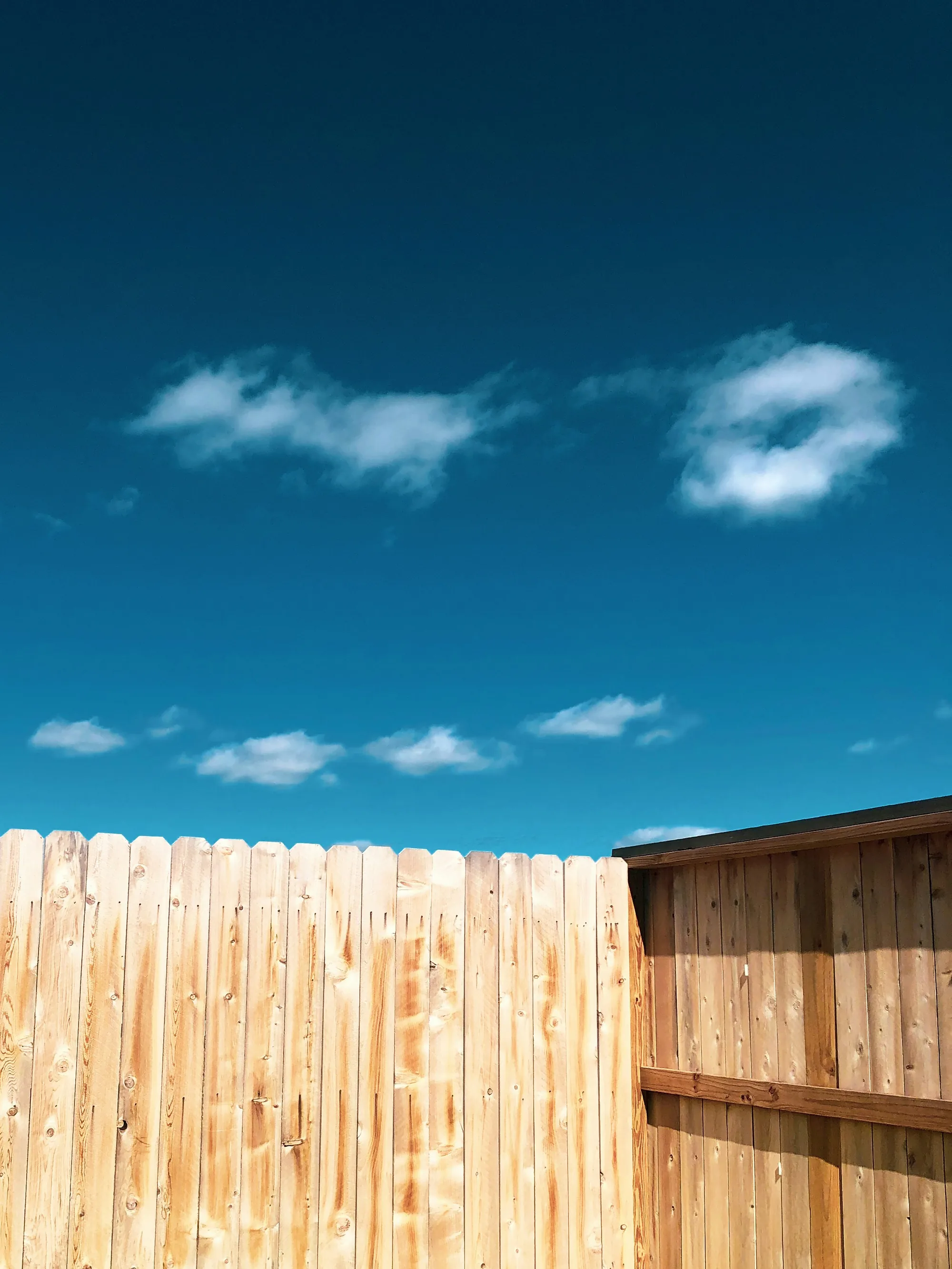 Timber fencing project, Auckland